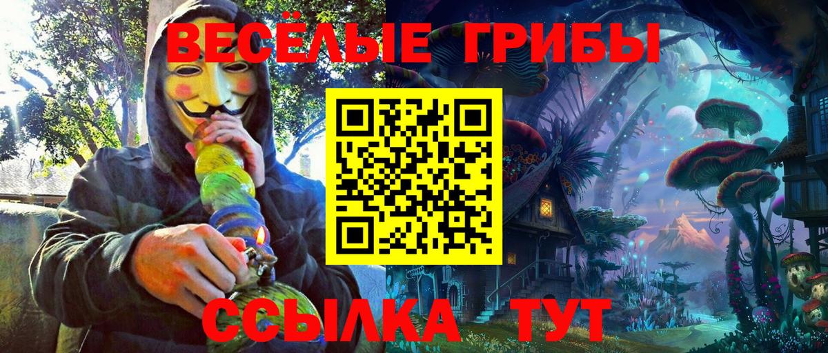 Галлюциногенные грибы Psilocybine cubensis Мыски