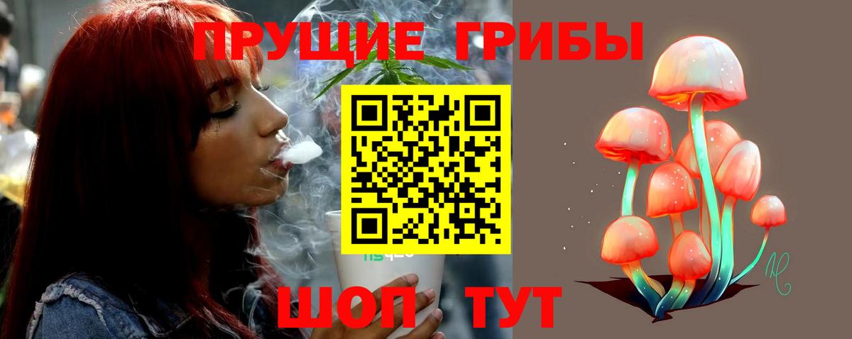 Псилоцибиновые грибы прущие грибы  Псилоцибиновые грибы MAGIC MUSHROOMS  Мыски  Вход с VPN 